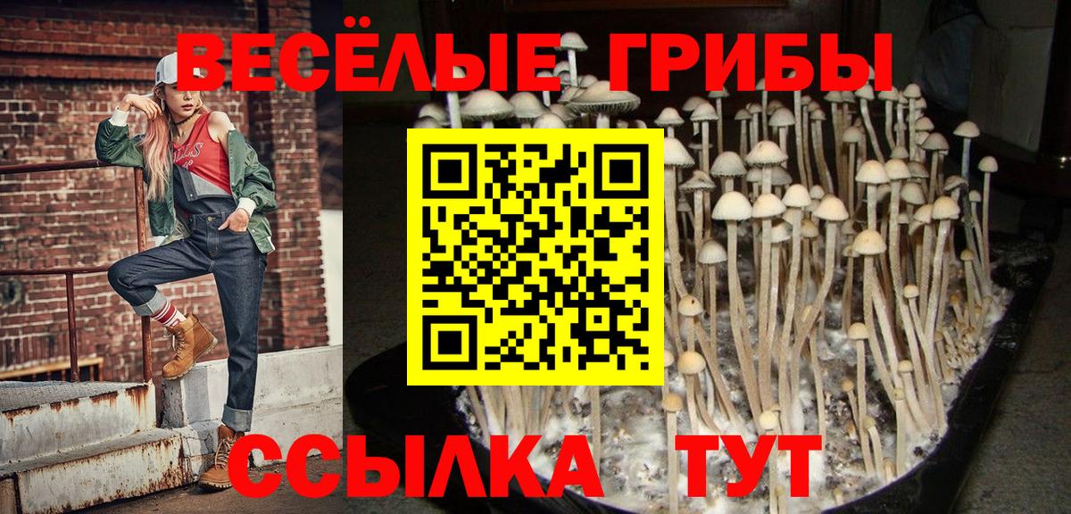 Псилоцибиновые грибы GOLDEN TEACHER  Вход с VPN  Прокопьевск 