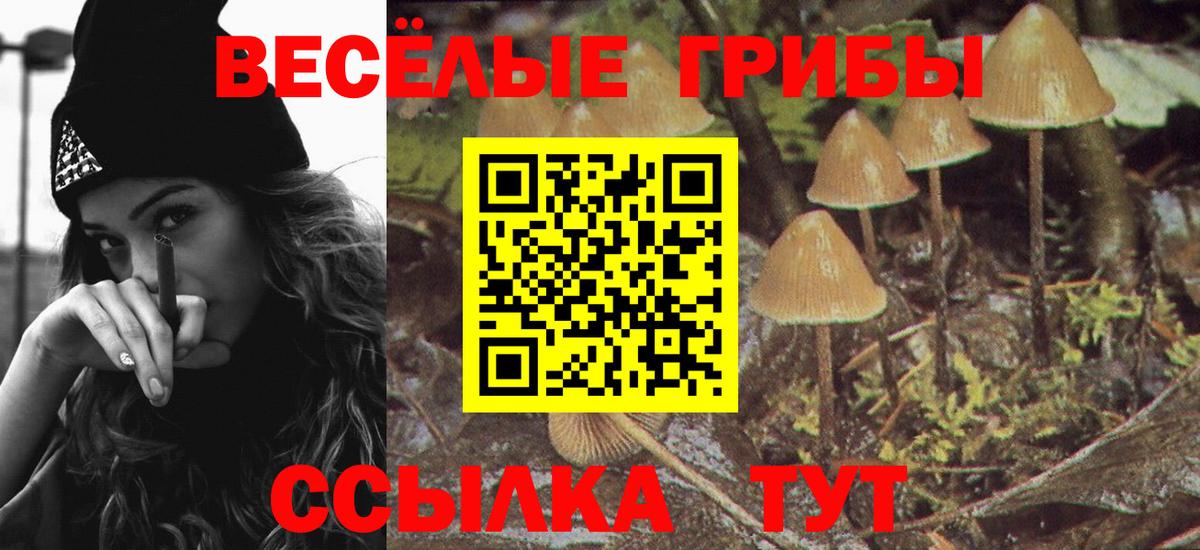 Псилоцибиновые грибы Magic Shrooms Прокопьевск